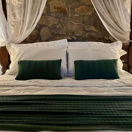 Quarto Dos Vinhos São Roque Eksteriør billede