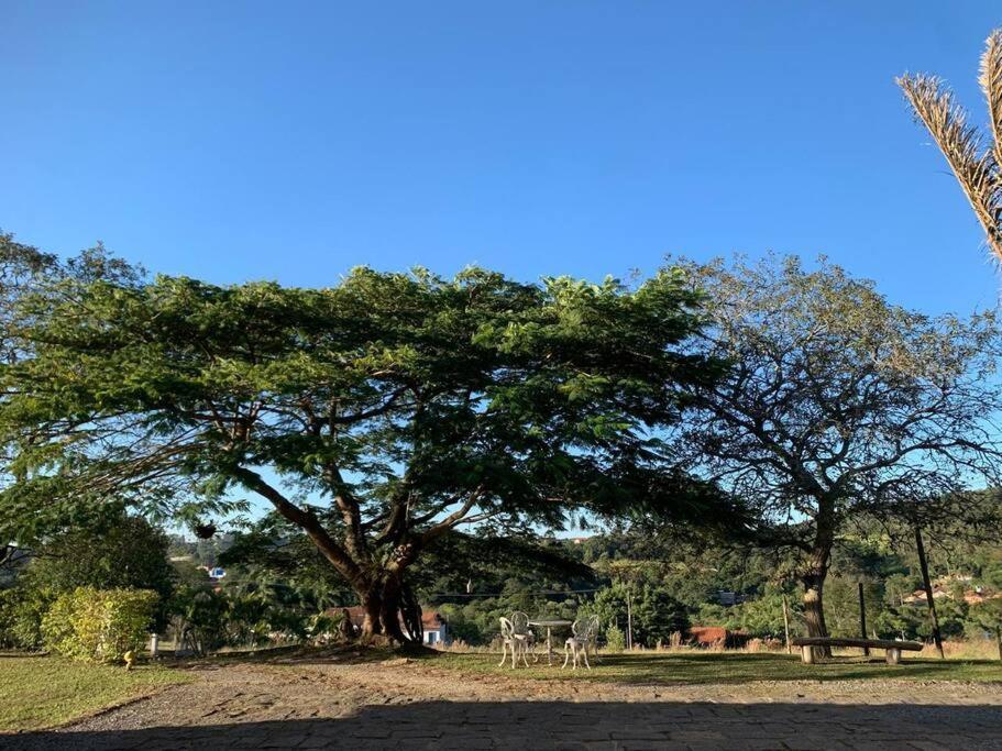 Quarto Dos Vinhos Villa São Roque Eksteriør billede